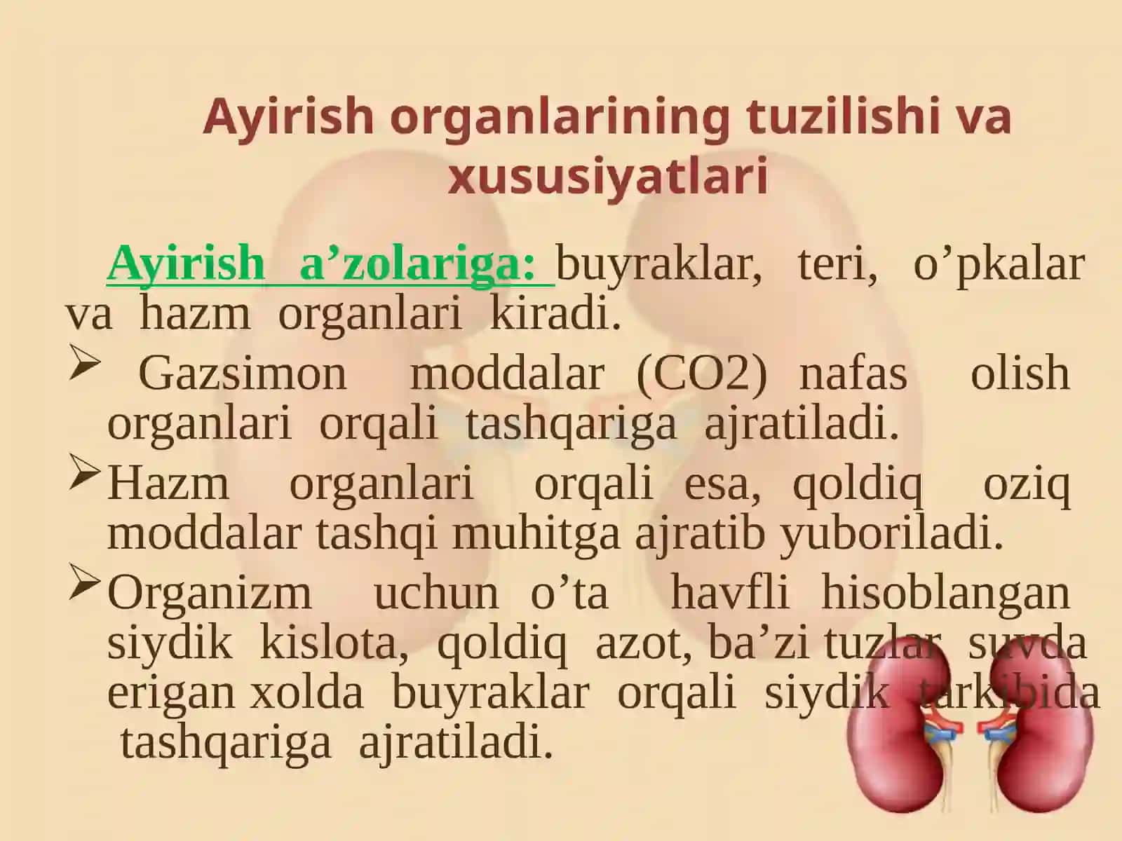 Ayirish organlarining tuzilishi va yoshga xos xususiyatlari 3