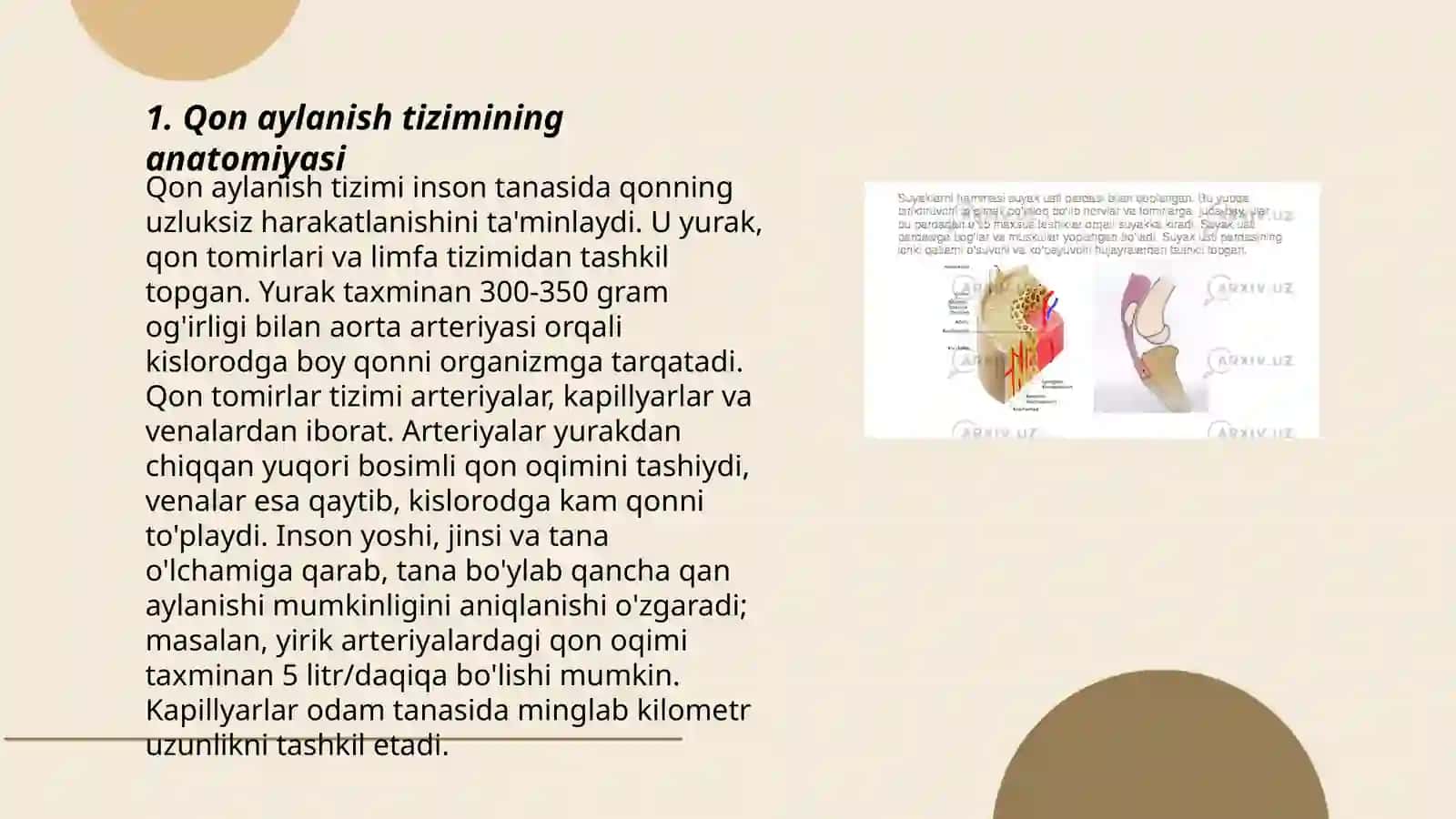 Qon aylanish tizimining yosh xususiyatlari va gigiyenasi 3