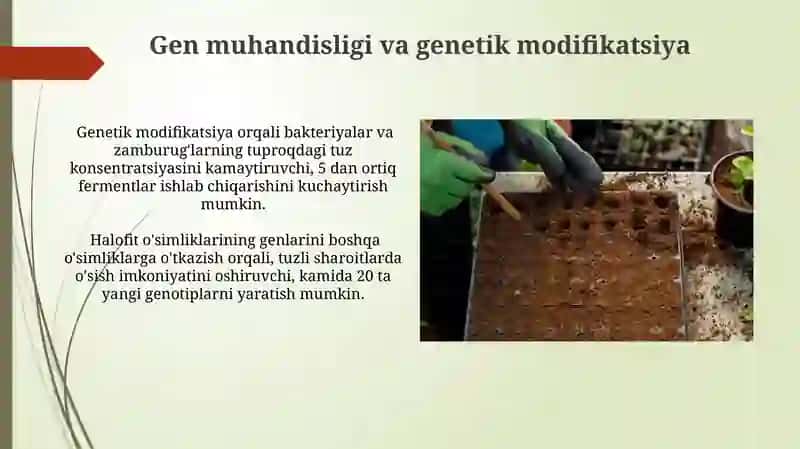 Tuproq sho'rlanishiga samarali ta'sir qiluvchi mikrob biotexnologiyalar 3
