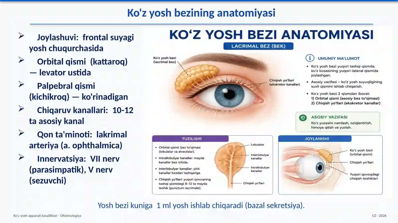 Ko'zyoshapparati—umumiyanatomiya 3