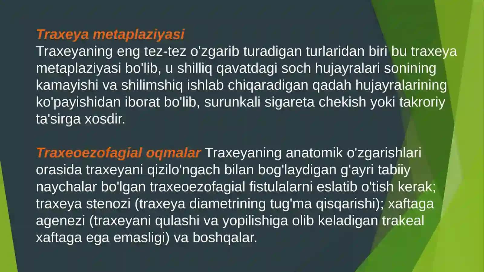 Traxeya, bronx va o'pkalarning rivojlanishi va ularning operatsiyalari 3