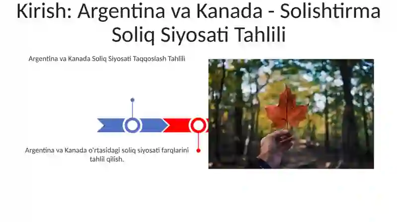 Kanada Moliya Siyosati 3