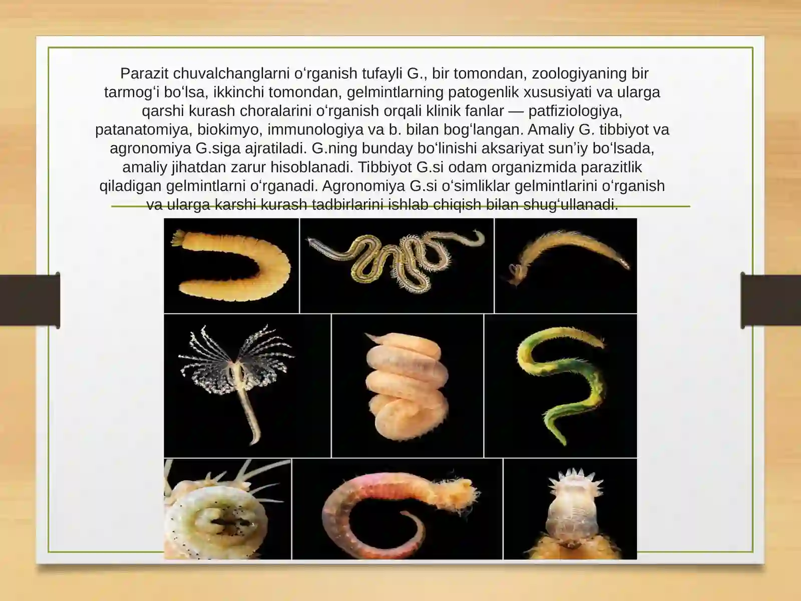 Gelmintologiya 3