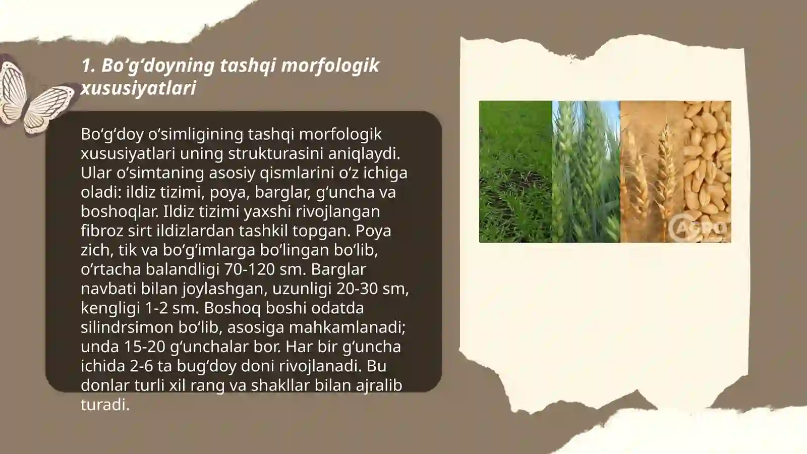 Denov tadbirkorlik va pedagogika instituti Biologiya taqdimoti 3