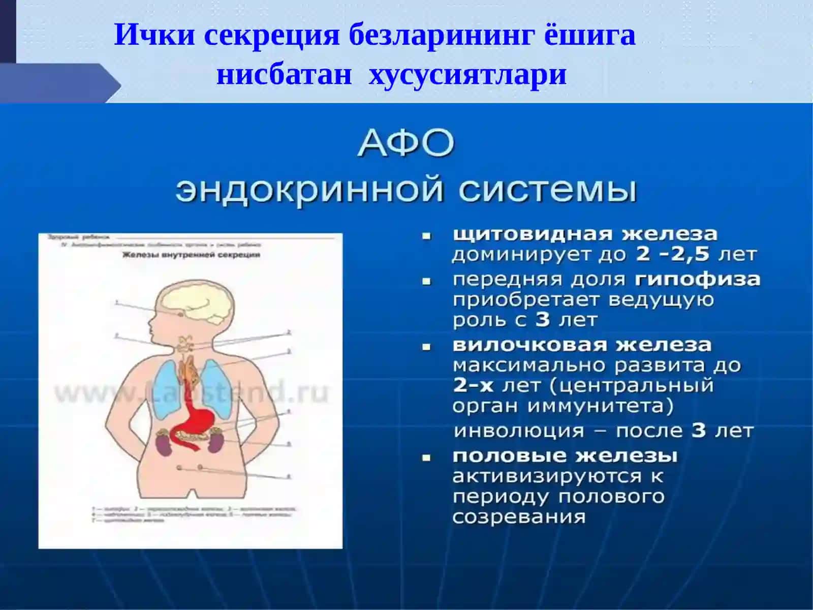 Йод моддаси 3