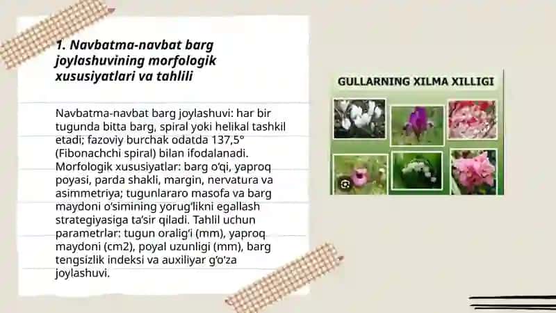 O‘simliklarning (navbatma-navbat qarama-qarshi to‘pgul)tahlil qilish 3