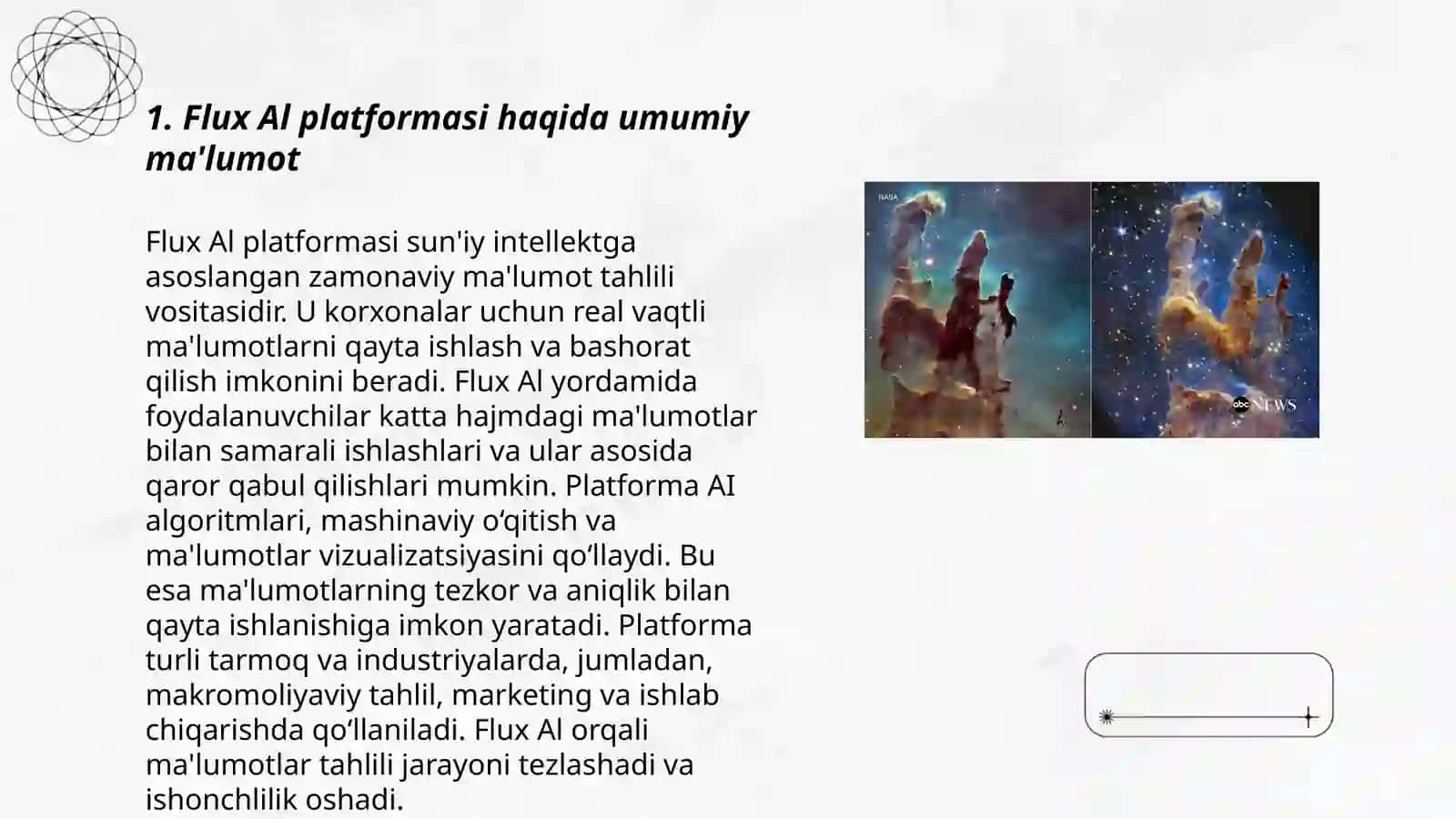 Flux Al platformasi 3
