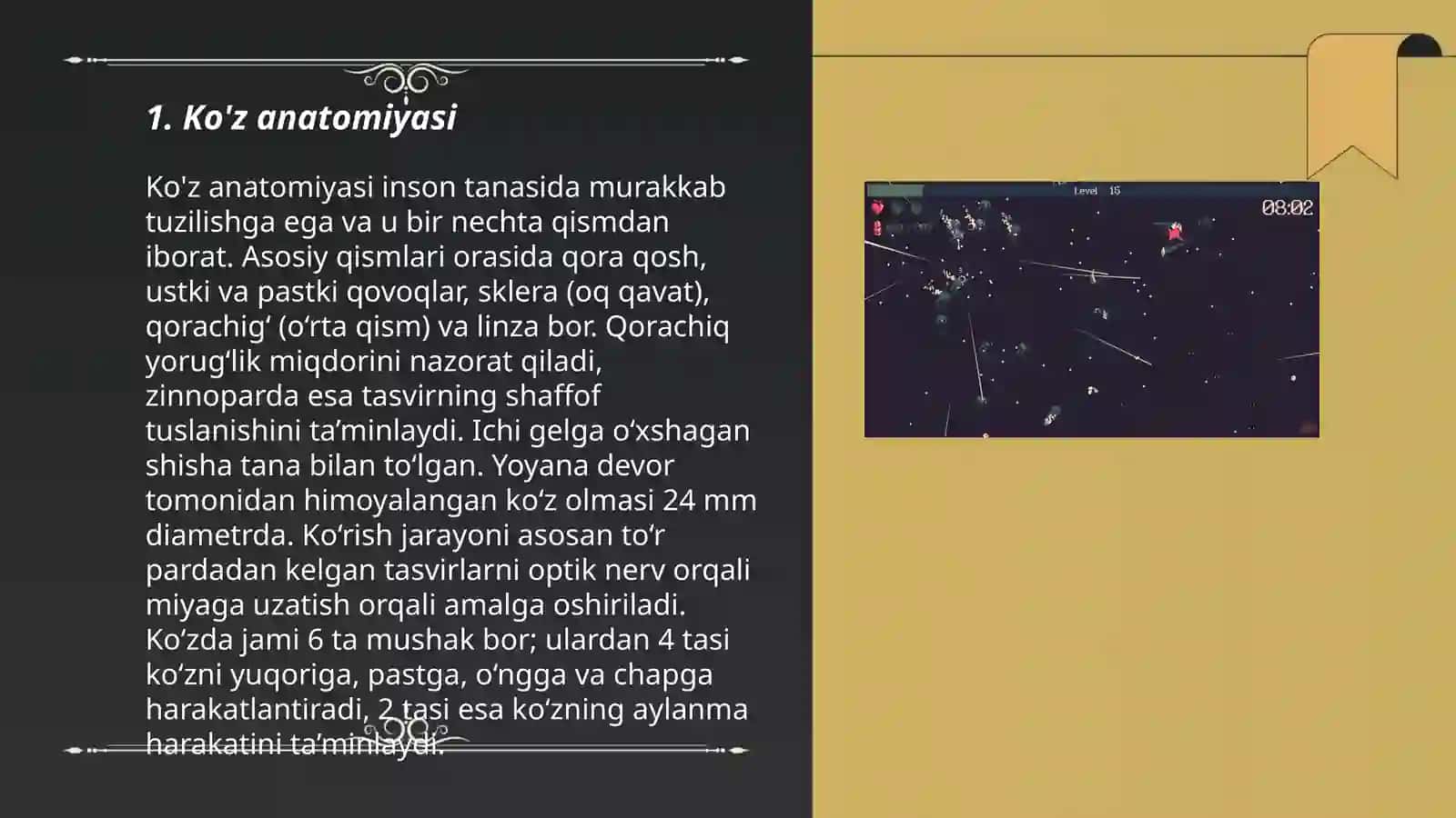 umumiy koz xaqida tushunchalar 3