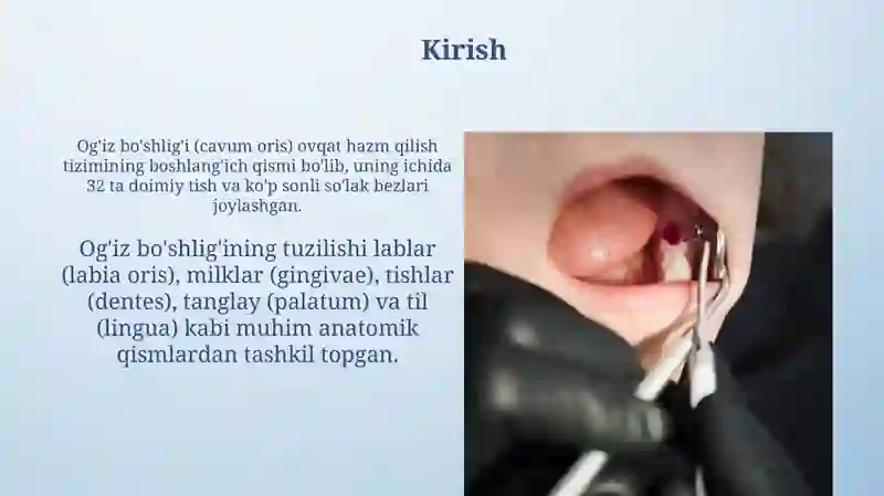 Og'iz bo‘shlig‘i anatomiyasi 3