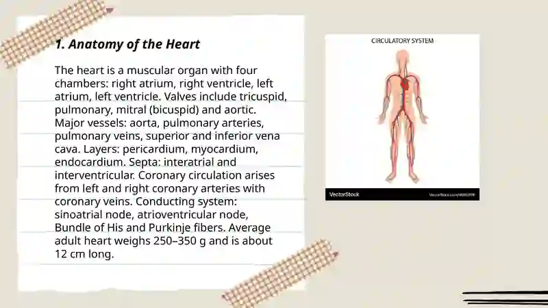 Circulatory system 3