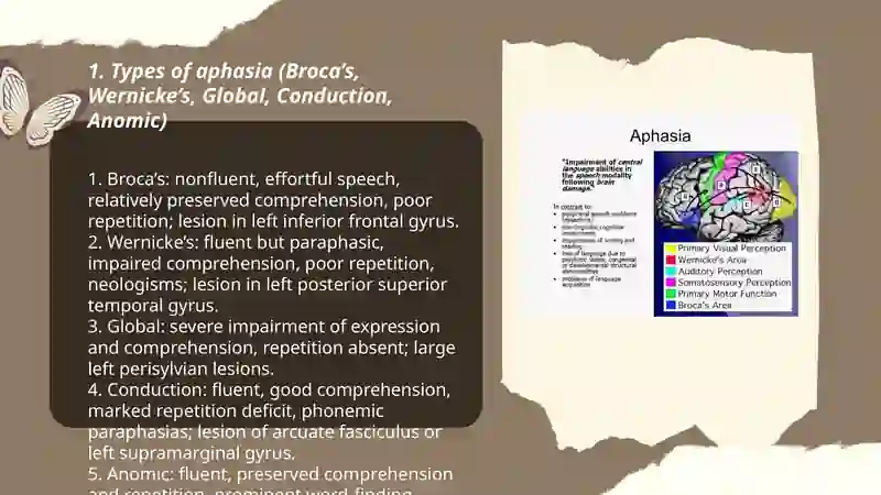 Aphasia 3