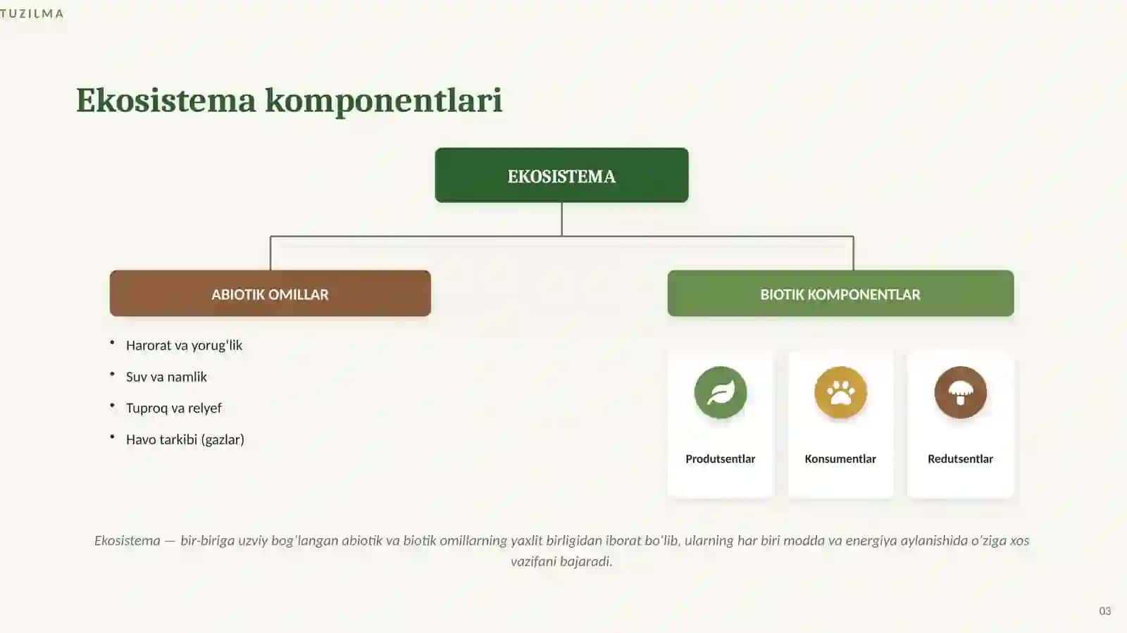 ekosistema tuzilishi va uning asosiy komponentlarini aniqlash 3