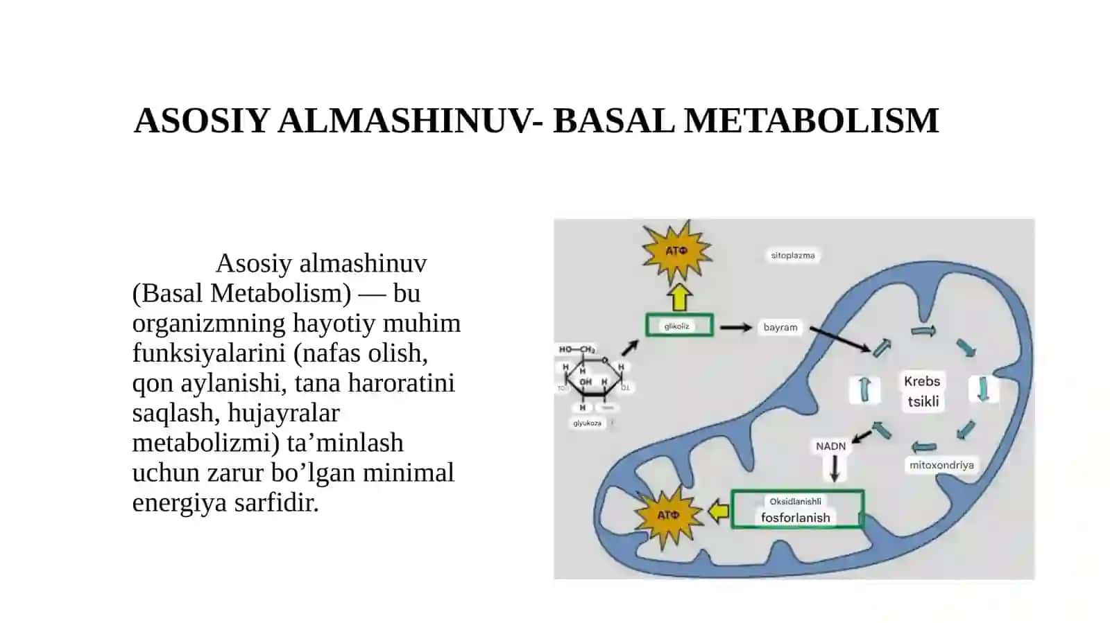 TOSHKENT DAVLAT TIBBIYOT UNIVERSITETI - NORMAL VA PATOLOGIK FIZIOLOGIYA 3