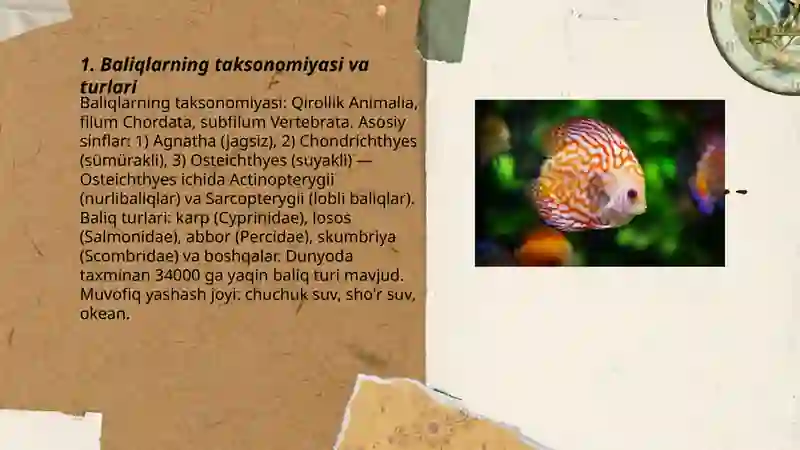 Baliqlar 3