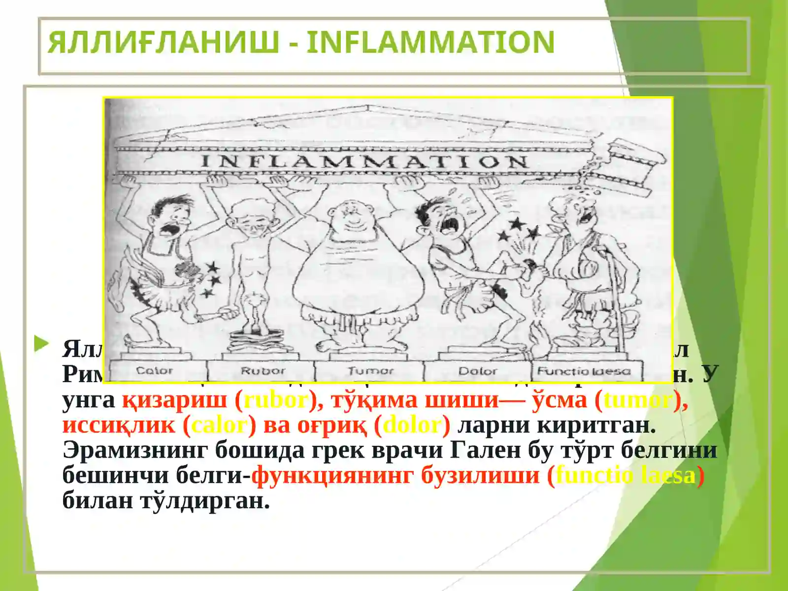 Яллиғланиш 3
