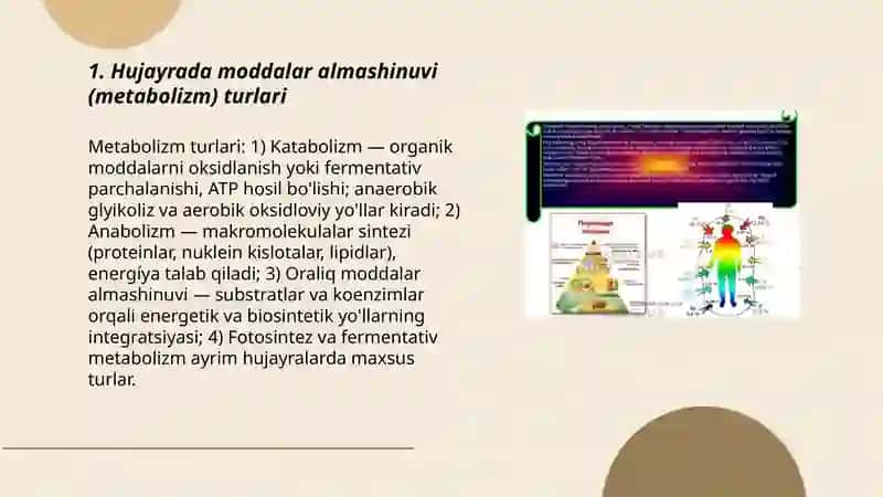 Hujayrada moddalar energiya almashinuvi malumotlar oqimi 3