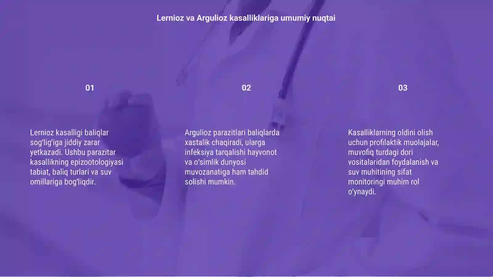 Lernioz va Argulioz kasalliklari: epizootologiyasi, davolash va oldini olish chora-tadbirlari 3