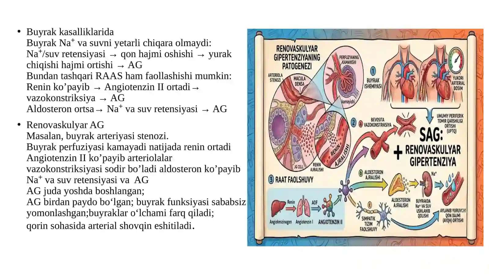 Egamova Malikaning Ichki Kasalliklar fanidantayyorlagan mustaqilishi 3
