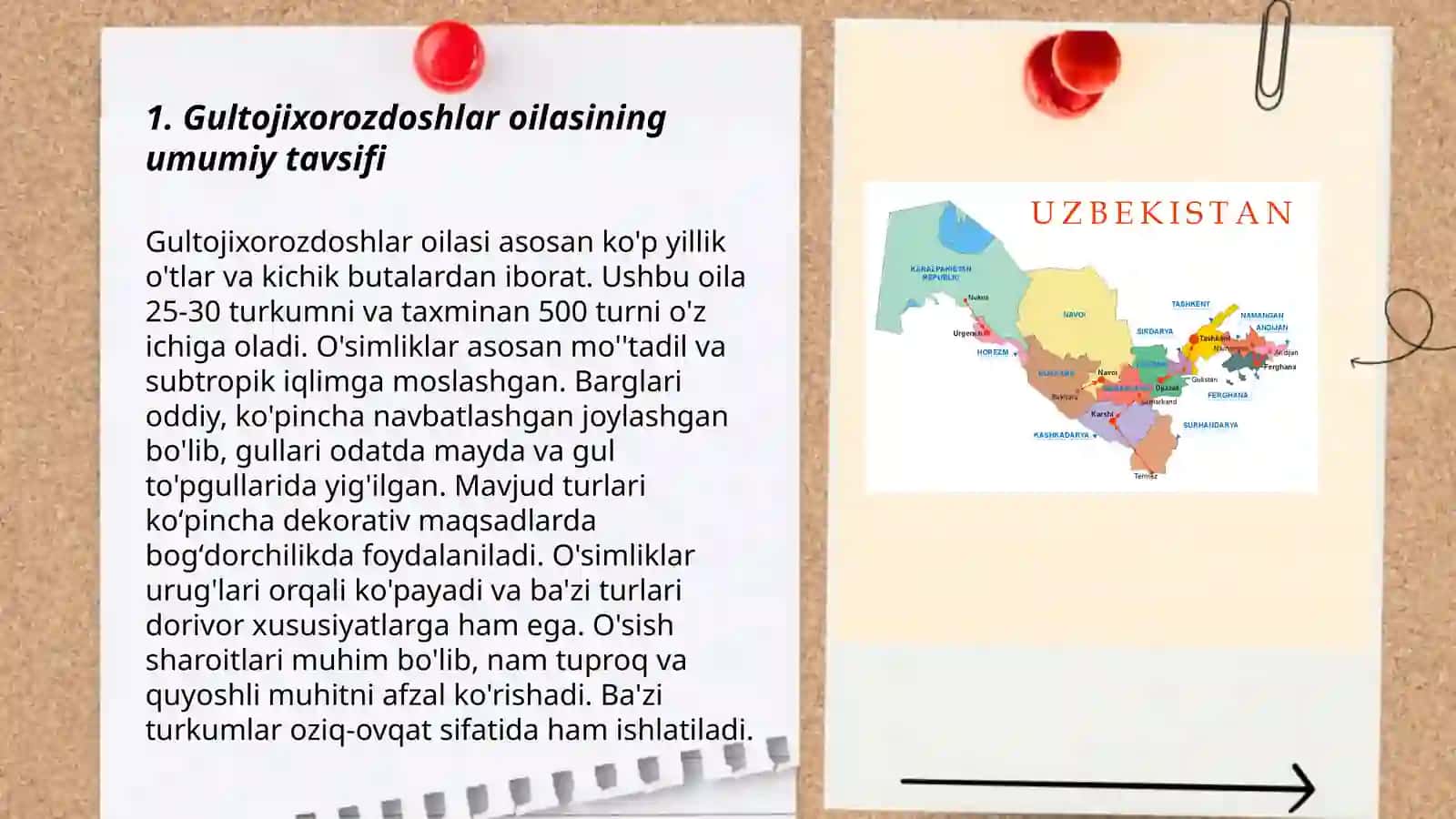Gultojixorozdoshlar oilasidagi turlar biologiyasi ekalogiyasi areali va xalq xojaligidagi ahamiyati 3