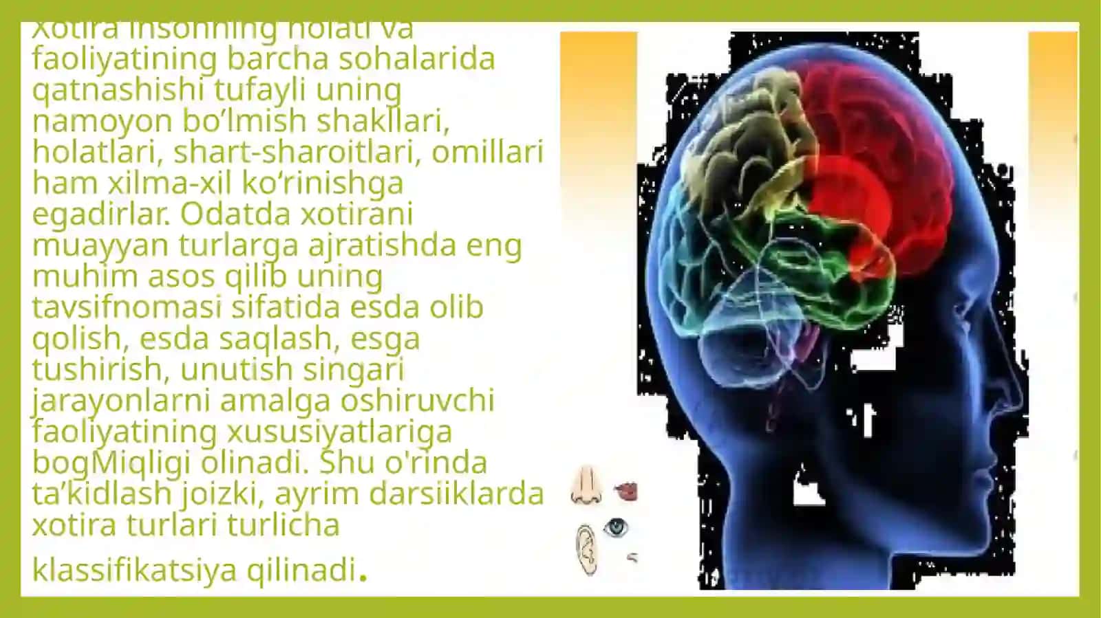 Xotira turlari klassifikatsiyasi 3