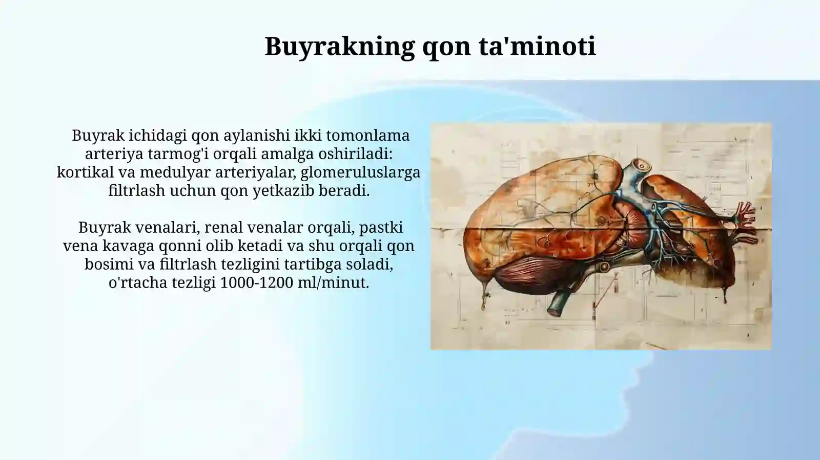 Buyrak anatomiyasi rasmi va buyrak tugʻma anamoliyalari rasmi 3