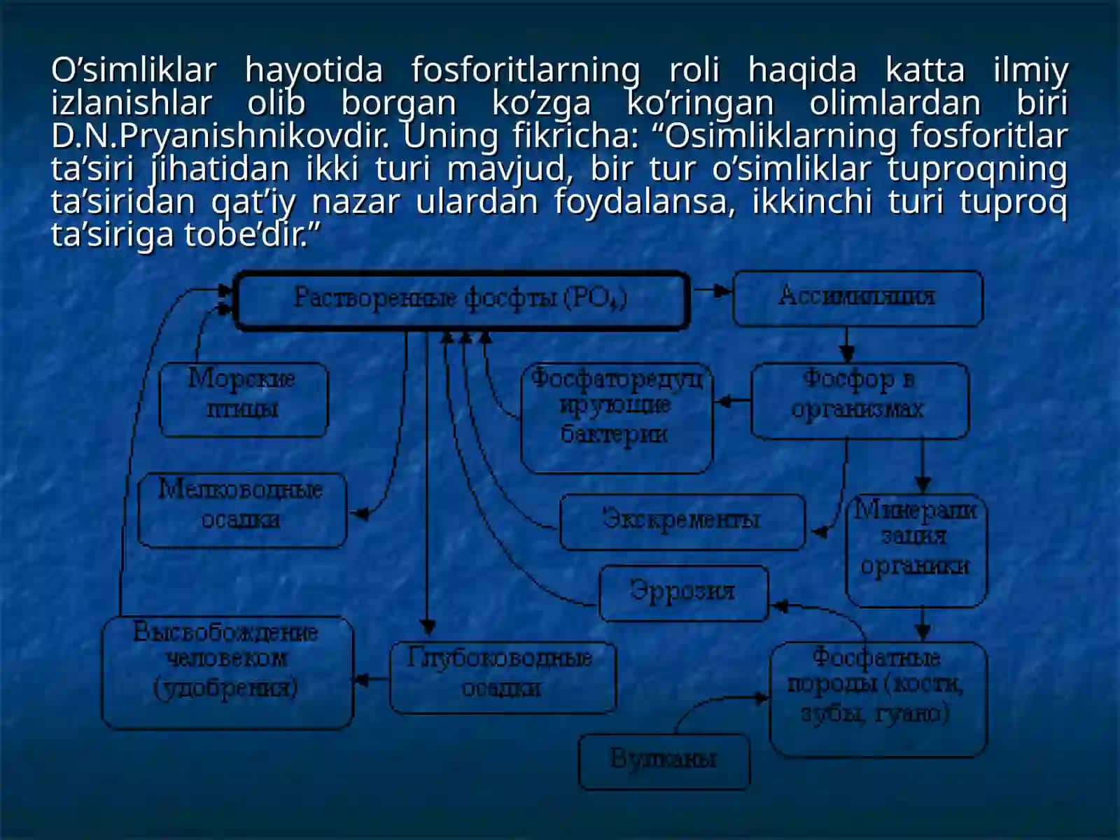 O’simliklarda uchraydigan fosforitlar va ularning hayotiy ahamiyati 3