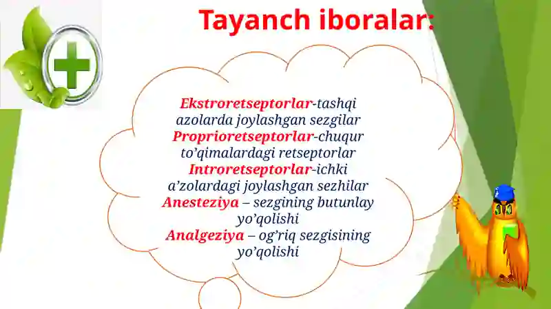 Preview 3