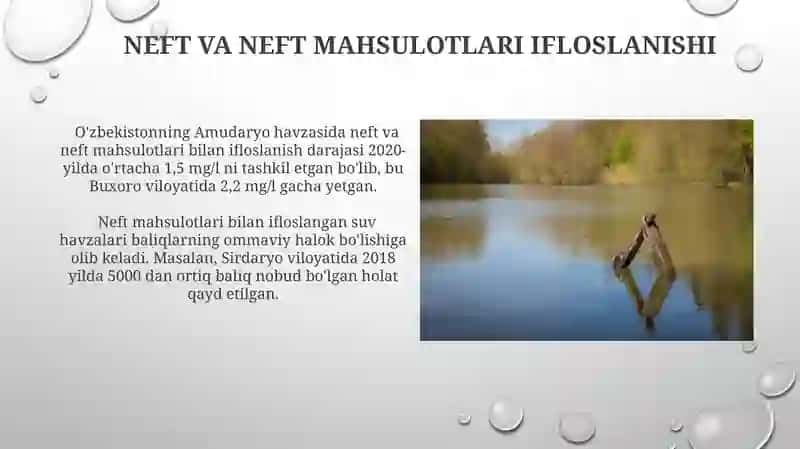 Ichki suv resurslarini ifloslanishining asosiy manbalari va salbiy oqibatlari 3