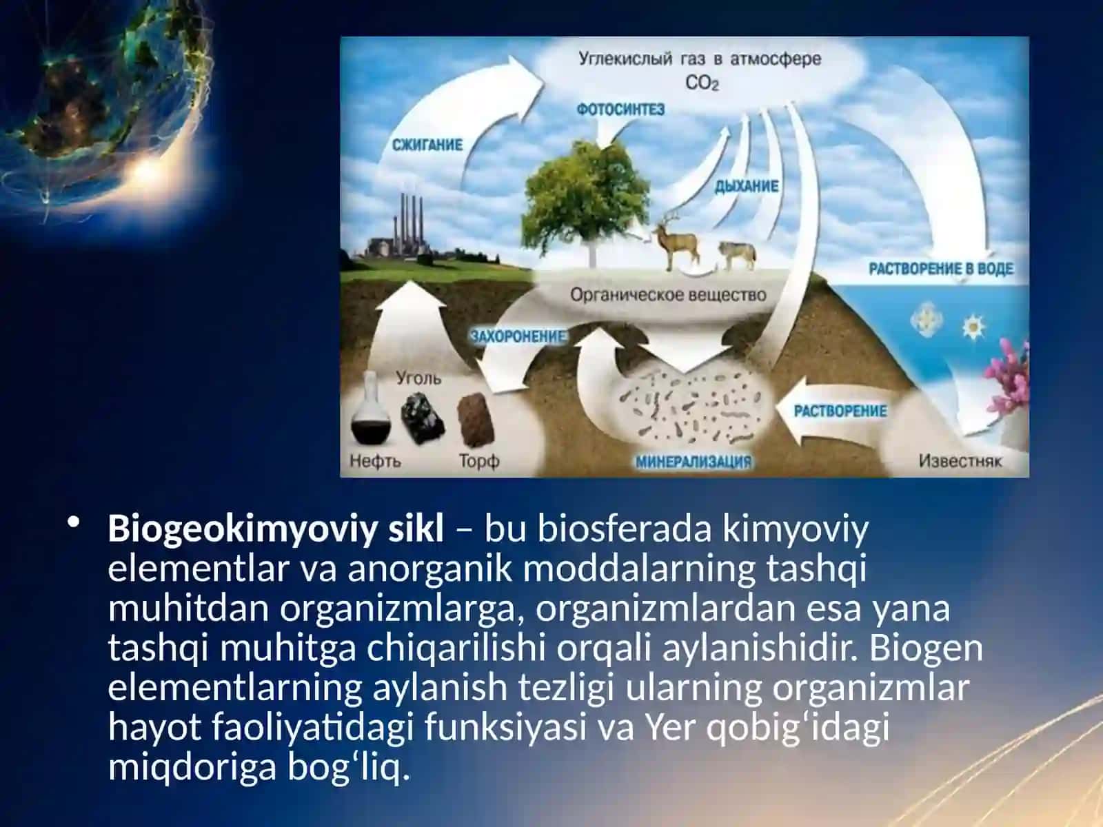 Biogeokimyoviy sikl 3