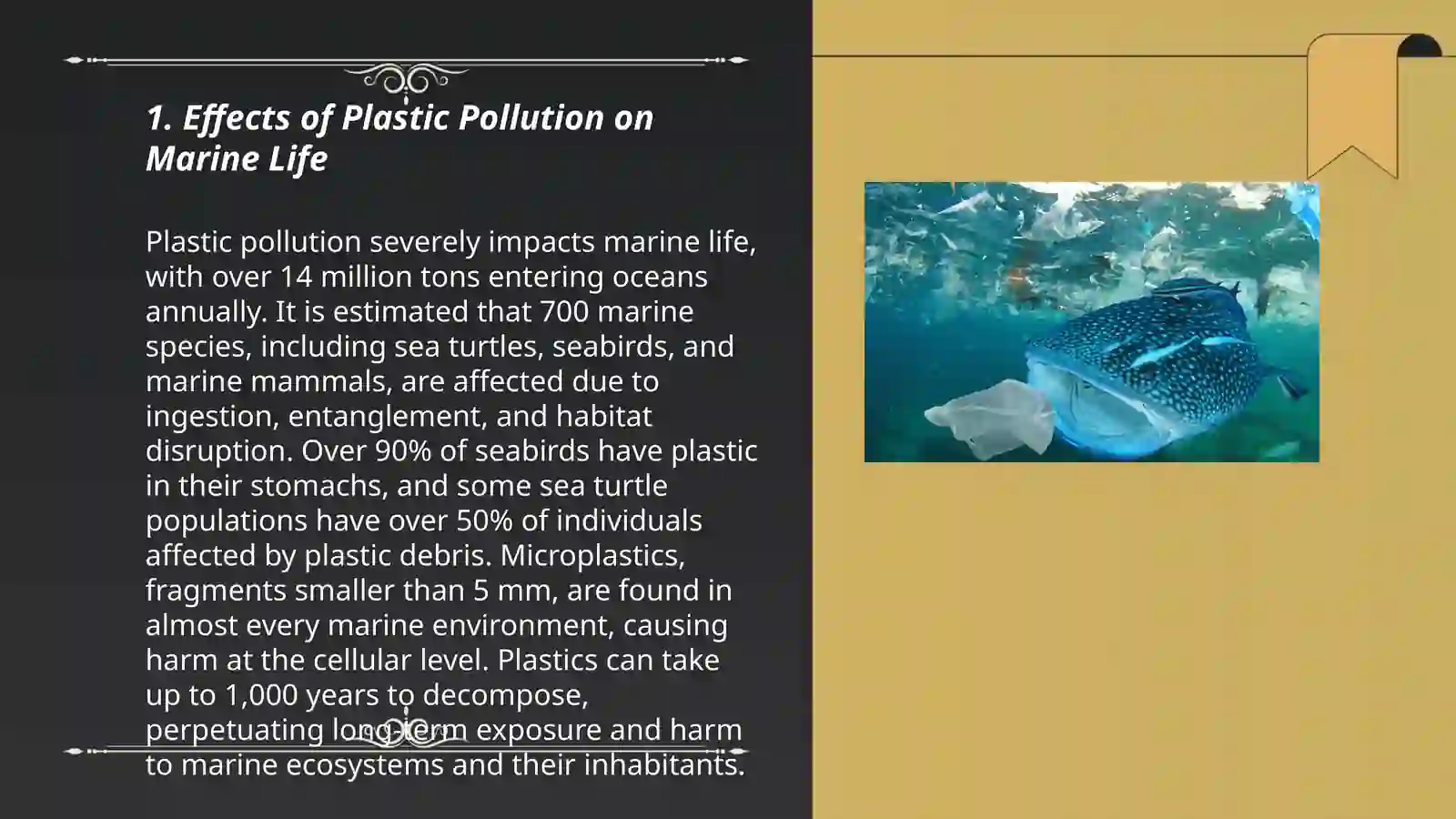 Plastic Pollution 3