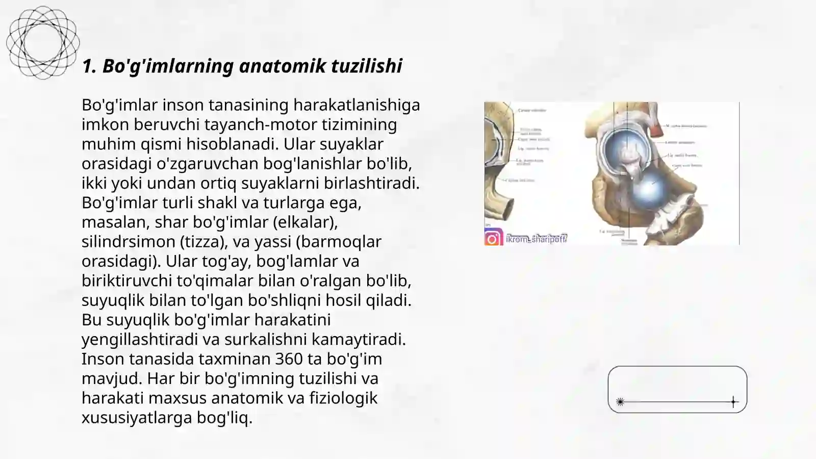 Bo'g'imlar tuzilishiga tashqi va ichki faktorlarni ta'siri 3