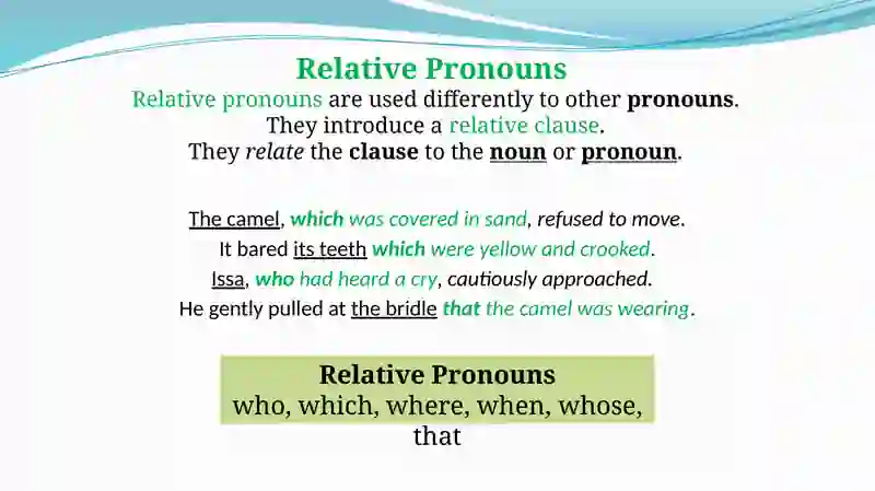 Relative Clauses 3