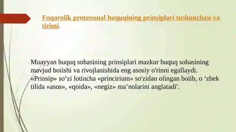 Fuqorolik protsessual huquqining prinsiplari tushunchasi va tasnifi 3