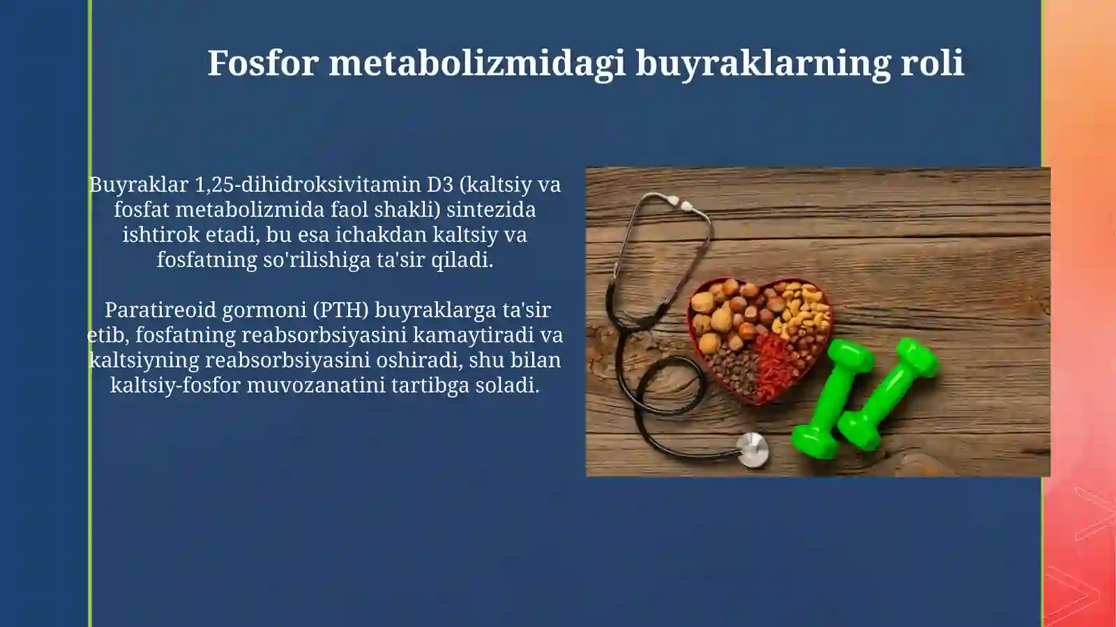 Buyraklarning kaltsiy,fosfor va bikorbonat almashinuvidagi ahamiyati 3