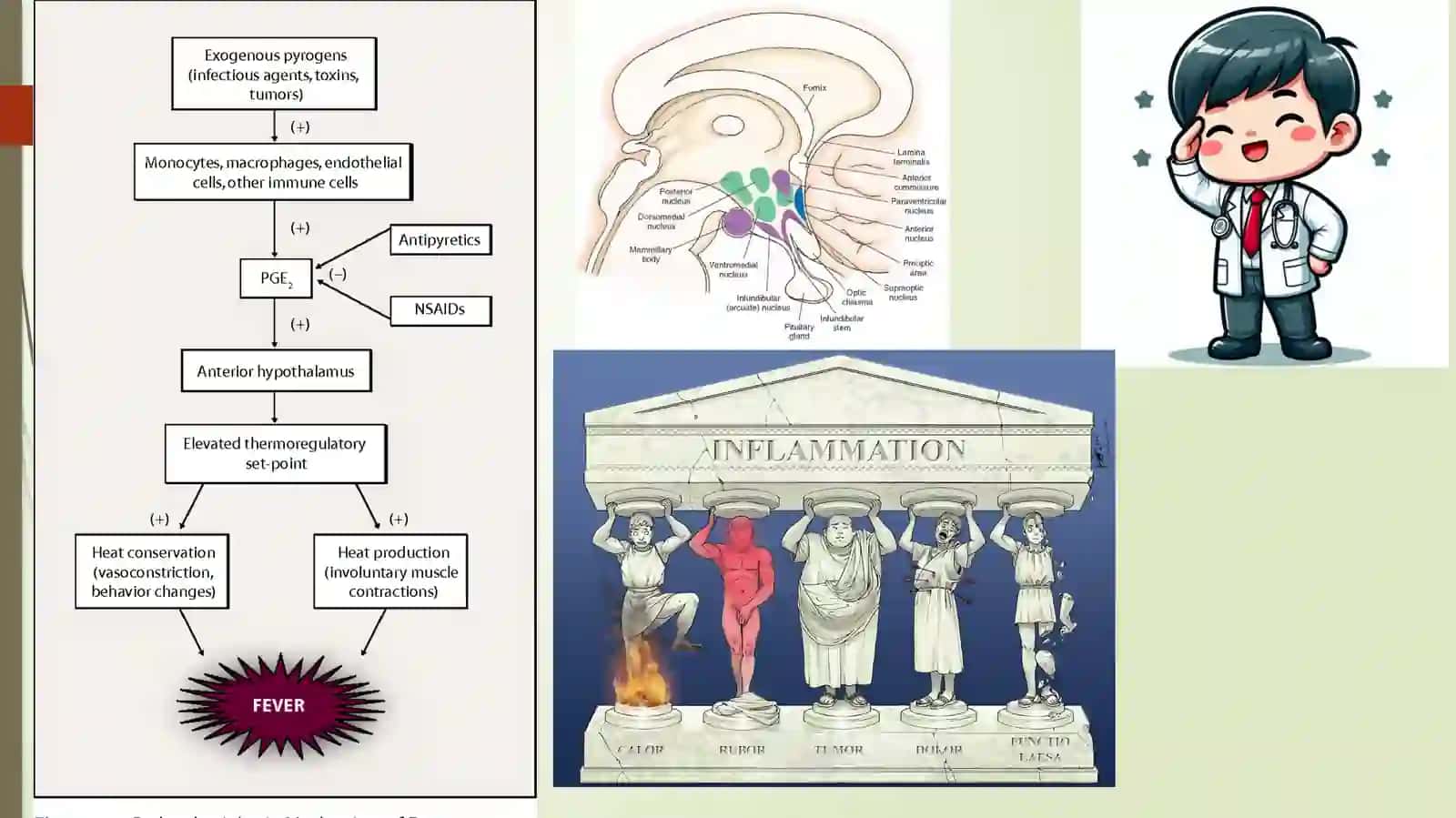 ISITMA VA UNGA SABAB BO’LUVCHI KASALLIKLARNING DIFFERENSIAL DIAGNOSI 3