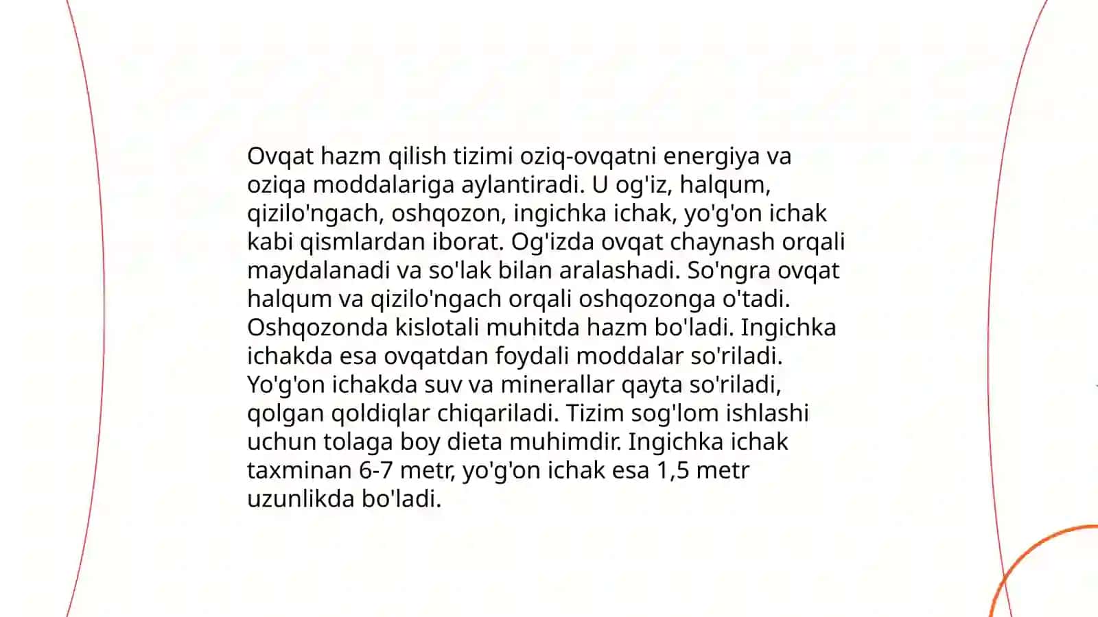 Ovqat Hazm Qilish Tizimi 3
