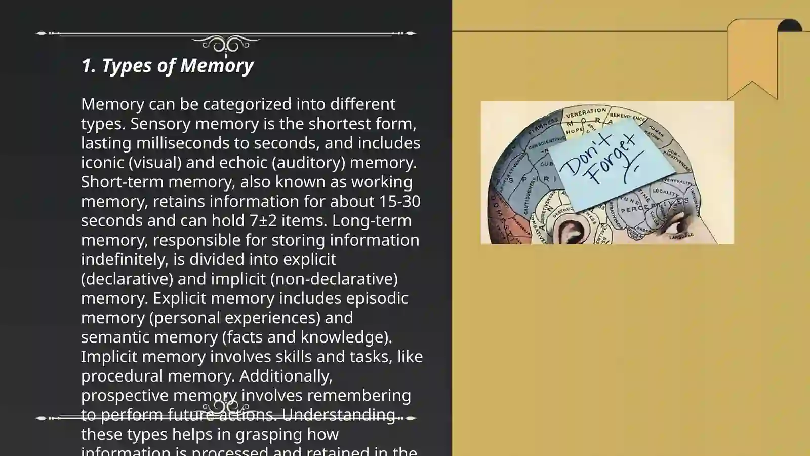 Humans' Memory 3
