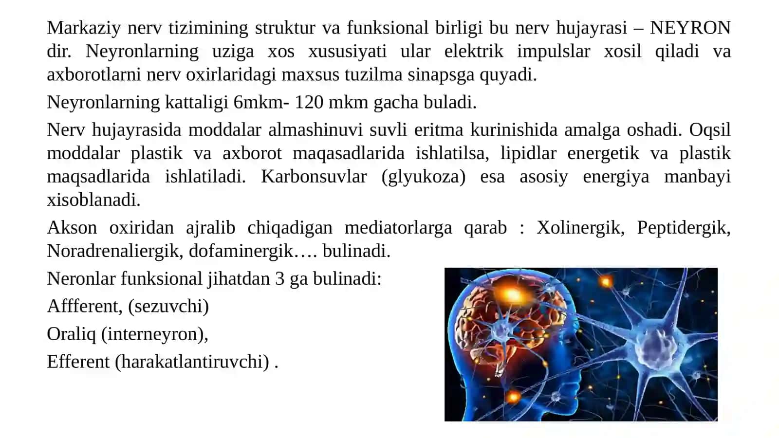 Nerv tolalari va sinapslar fiziologiyasi 3