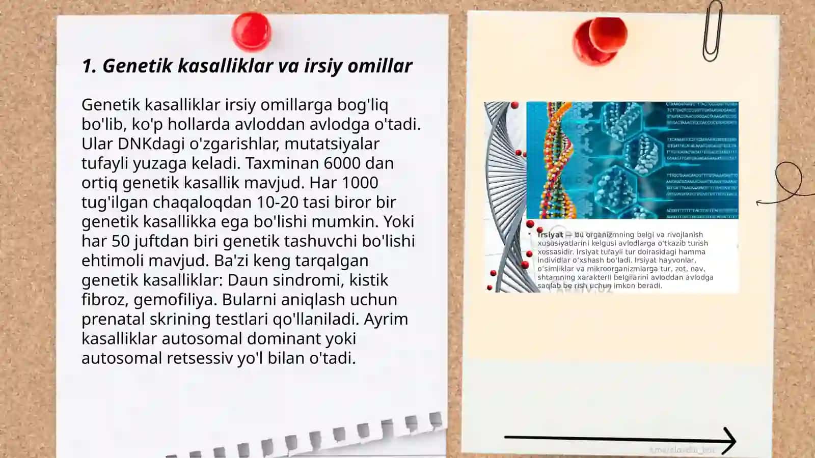 Genetika va inson salomatligi 3