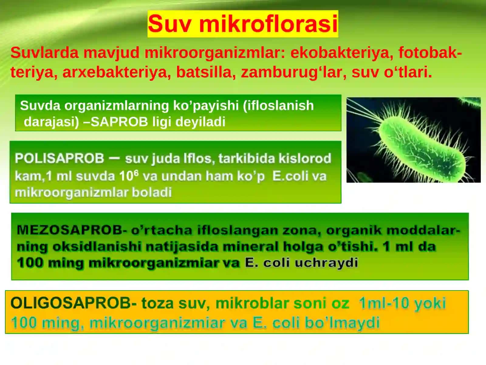 MIKROORGANIZMLAR EKOLOGIYASI 3