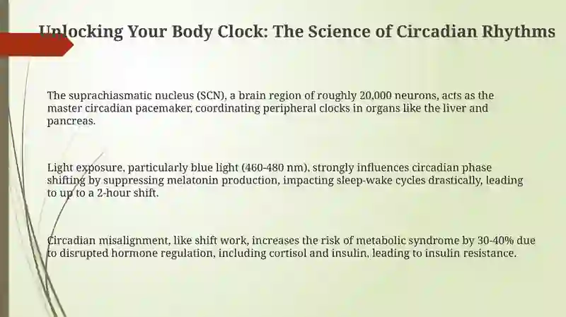 Body clock. Homonyms 3