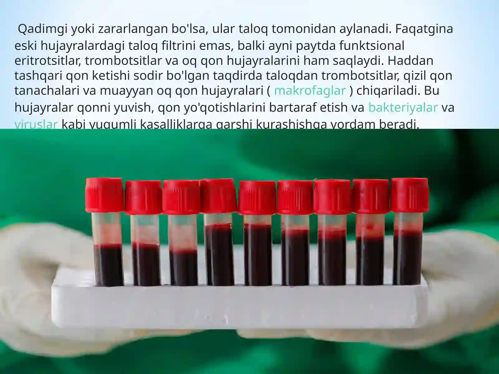 TROBOSITLAR 3