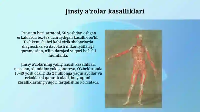 Tana tuzilishiga oid ichki organlar 3