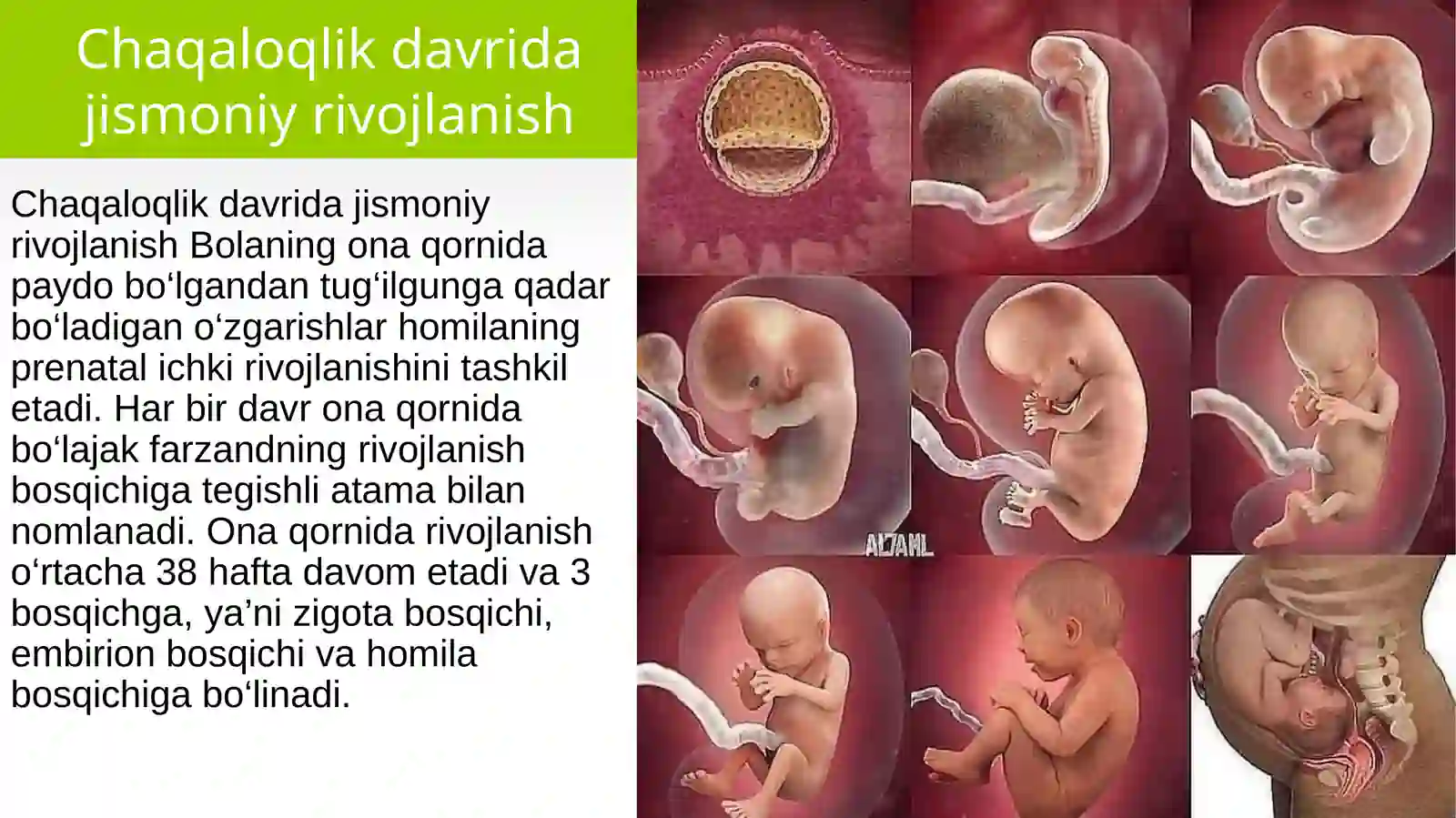 Chaqaloqlik davrining psixologik xususiyatlari 3