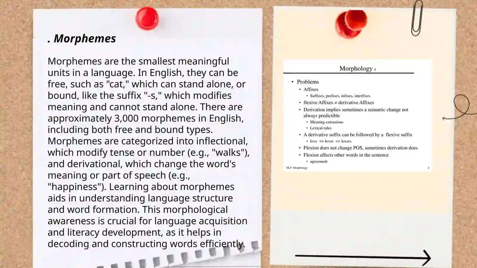 Morphology 3