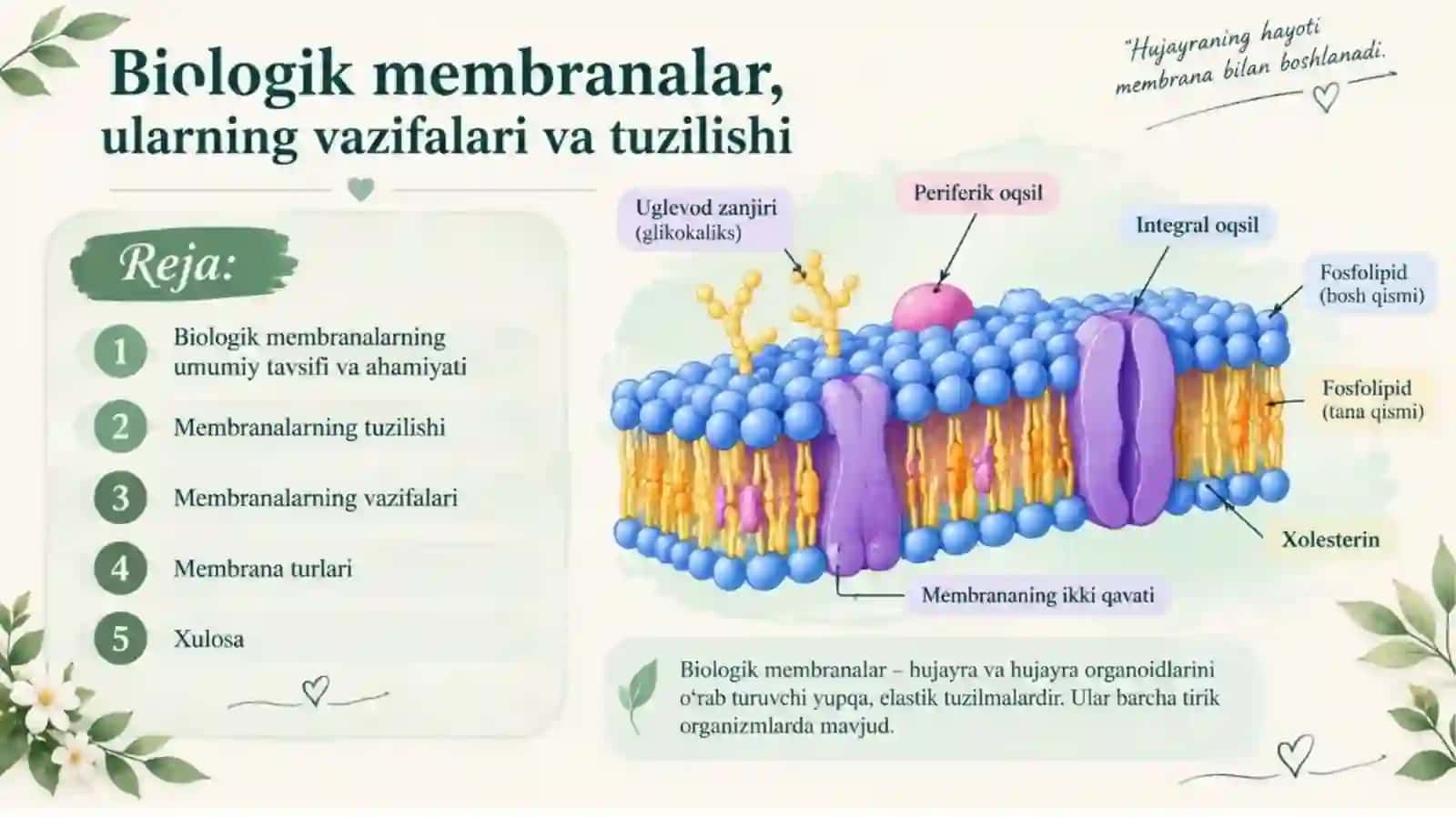 ToshkentDavlatTibbiyotUniversitetiTAYYORLAGAN MUSTAQIL ISHI 3
