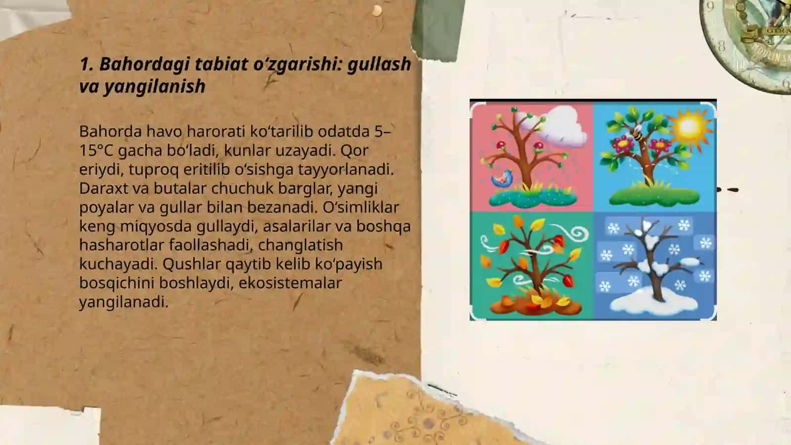Bahordagi tabiat oʻzgarishi: gullash va yangilanish 3