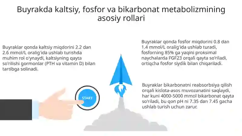 Buyrakning kalsiy, fosfor va bikarbonat almashinuvi 3