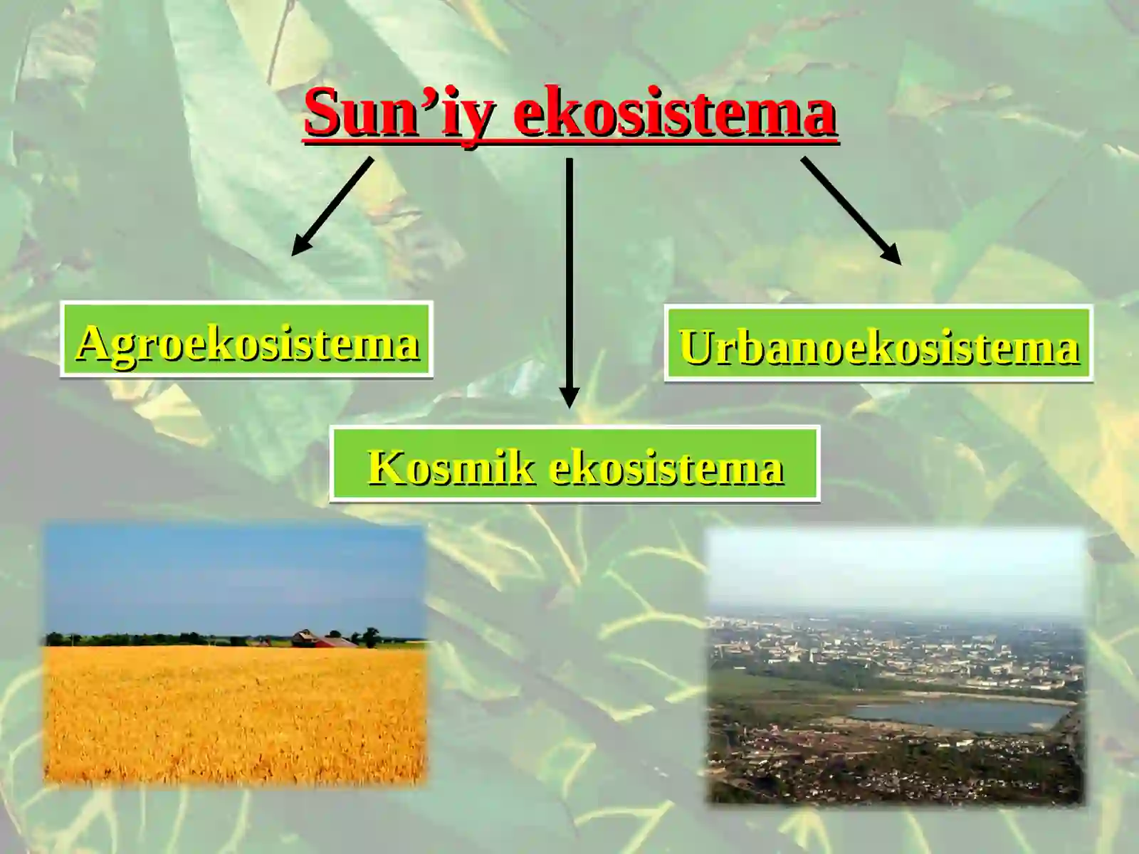 Sun’iy ekosistema 3