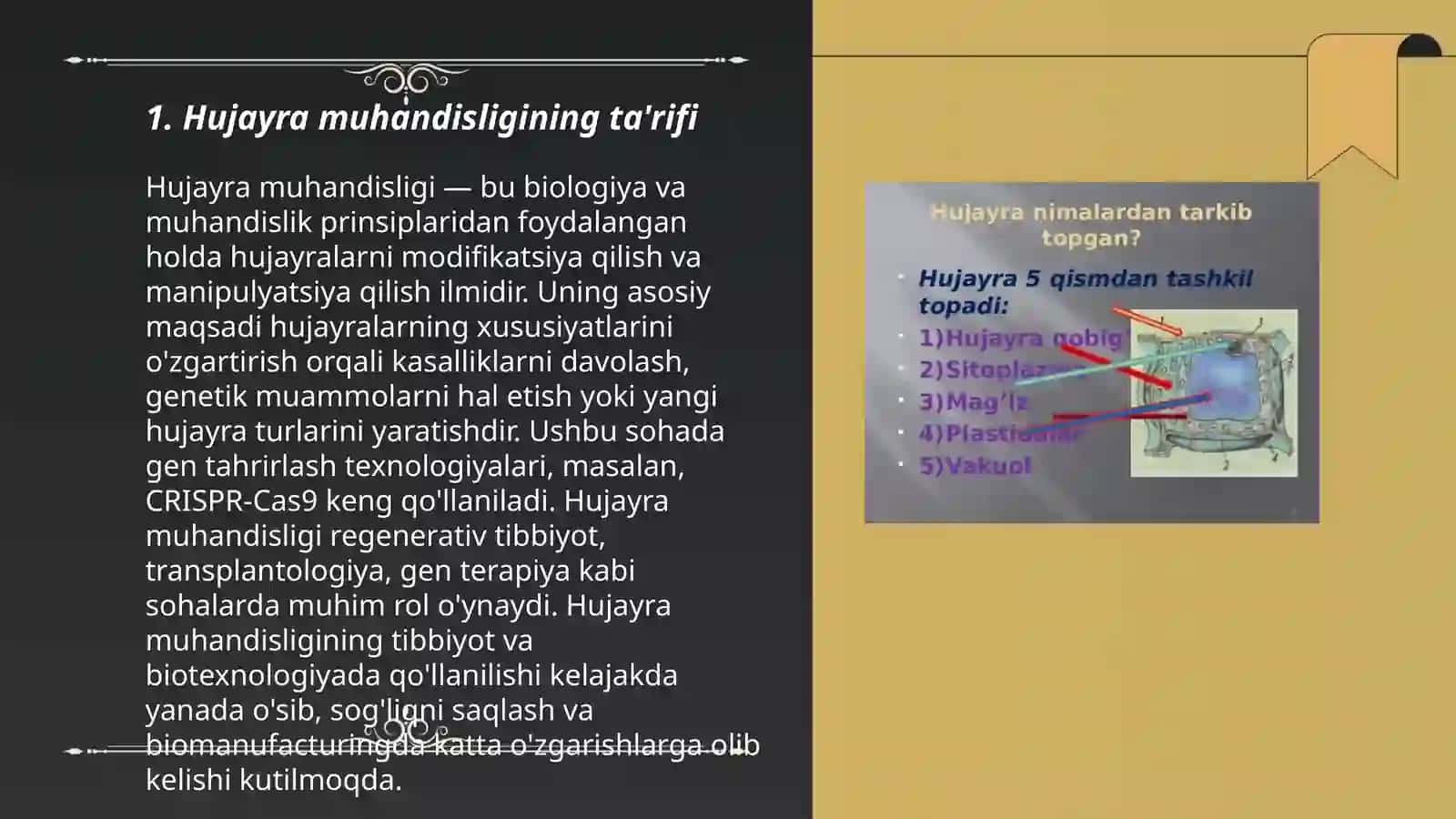 Hujayra muhandisligi 3